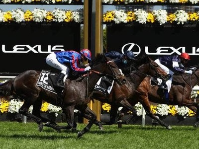 Melbourne Cup Report Awaited Before Internationals For Cox P ... Image 1